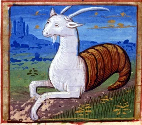 Zeichen des Steinbocks. Italienisches Horoskop, Mitte des 15. Jahrhunderts