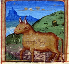 Sternzeichen Stier. Italienisches Horoskop, Mitte des 15. Jahrhunderts.