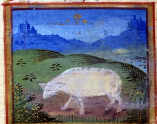 Zeichen des Widders. Italienisches Horoskop, Mitte des 15. Jahrhunderts