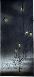 Glühwürmchen in einer Sommernacht. 1930-1950