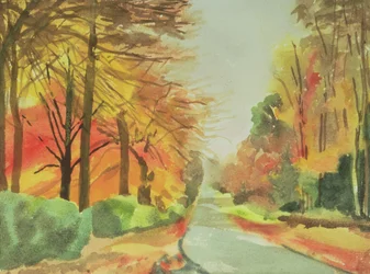 Nr. 47 Herbst, Beaufays Road, Lüttich, Belgien