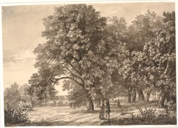 Ansicht einer Straße in einem Wald bei Sorø, Seeland