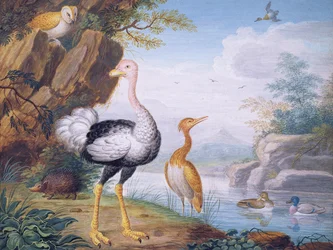 Exotische Vögel und eine Eule am Ufer eines Flusses