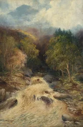 Ein Bergwald