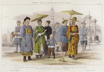 Mongolische Rasse, Chinesen und Cochin-Chinesen