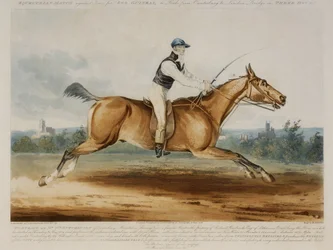 Porträt von Mr. William Hutchinson auf 