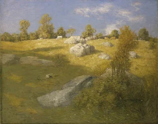 Hochlandweide