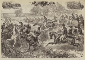 Fuchsjagd, voller Schrei