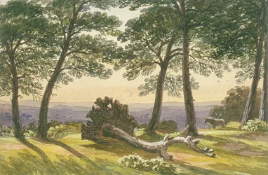 Hampstead Heath, London, ca. 1830