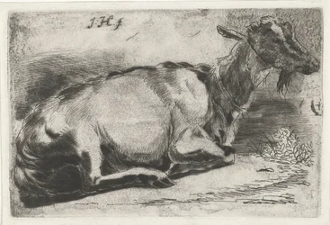 Liegende Ziege