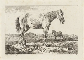 Stehendes Pferd in einer Landschaft