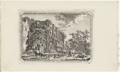 Vieh bei der Ruine von Brederode