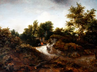 Eine bewaldete Dünenlandschaft