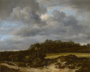 Kornfeld, 1660