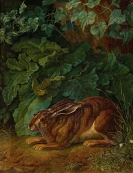 Hase im Gebüsch