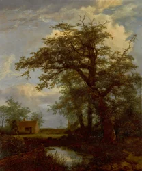 Eine bewaldete Landschaft mit einer Eiche, einem Teich und Häusern im Hintergrund