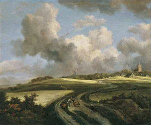 Weg durch Weizenfelder nahe der Zuiderzee