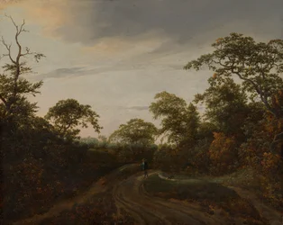 Straße durch eine bewaldete Landschaft in der Dämmerung