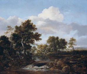Waldlandschaft mit einem Bach