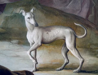 Hund, Detail aus einem Fresko von Jacopo Guarana (1720-1808), Zentralhalle der Villa Contarini, Valnogaredo, Venetien, Italien