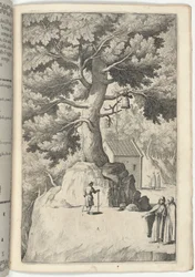 Buchenbaum mit der Glocke [Tafel X]