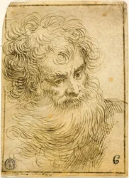 Kopf eines bärtigen alten Mannes (recto); Dekorative Skizze von Blume und Blättern (verso)