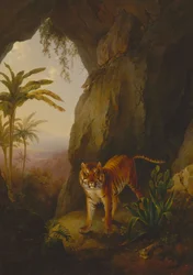 Tiger in einer Höhle