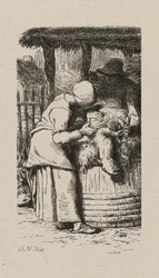 Frau schert Schafe