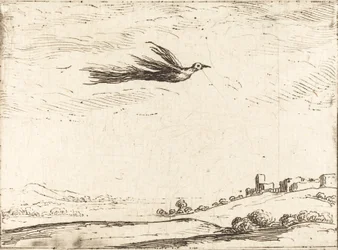 Paradiesvogel