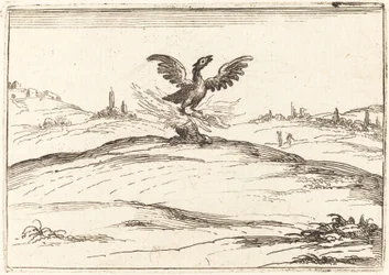 Brennender Phönix