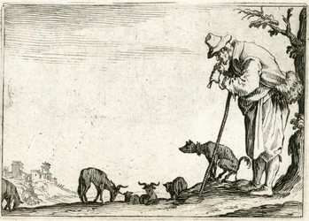Capricci di varie figure