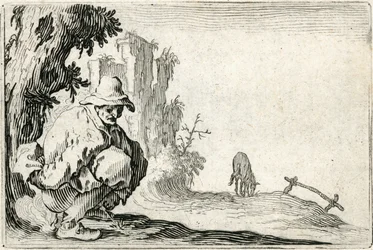Capricci di varie figure