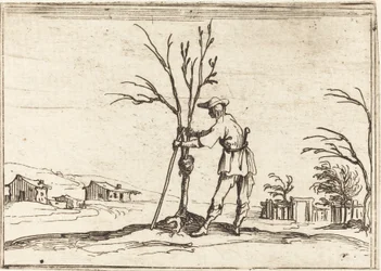 Gärtner beim Baumschnitt