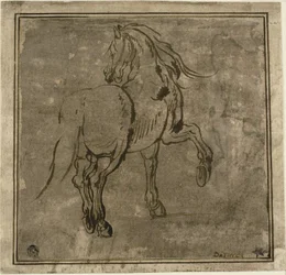 Pferd, von hinten im Dreiviertelprofil gesehen