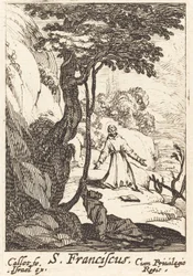 Heiliger Franziskus