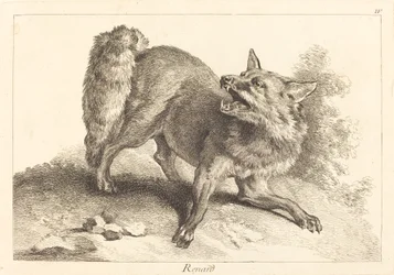 Fuchs