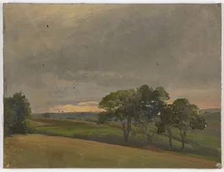 Abendliche Wiese mit Bäumen