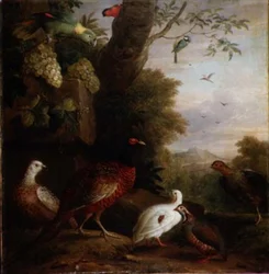 Vögel in einer Landschaft