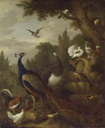 Pfau, Pfauenhenne, Papageien, Kanarienvogel und andere Vögel in einem Park, ca. 1708-10