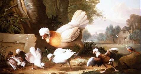 Geflügel und Tauben in einer Landschaft