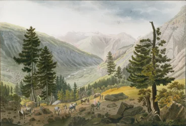 Berglandschaft mit einer Karawane von Maultieren