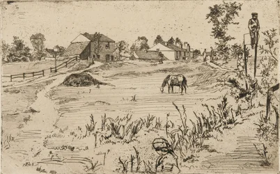 Landschaft mit Pferden