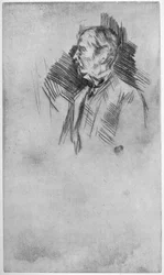 Lord Wolseley, 19. Jahrhundert 1904