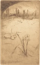 Schwan und Iris, veröffentlicht 1883