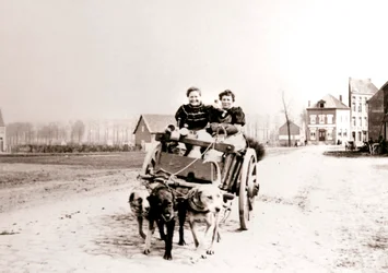 Hunde ziehen Frauen auf einem Wagen, Antwerpen, 1898