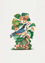 Schöner Kleiber