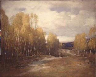 Moorlandschaft