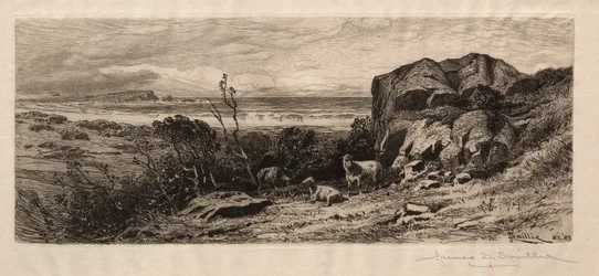 Am Marblehead Neck, 1883