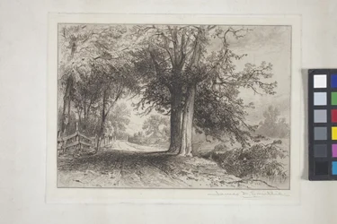 Landschaft