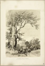 Buche und Eiche (Frontispiz), aus Der Park und der Wald